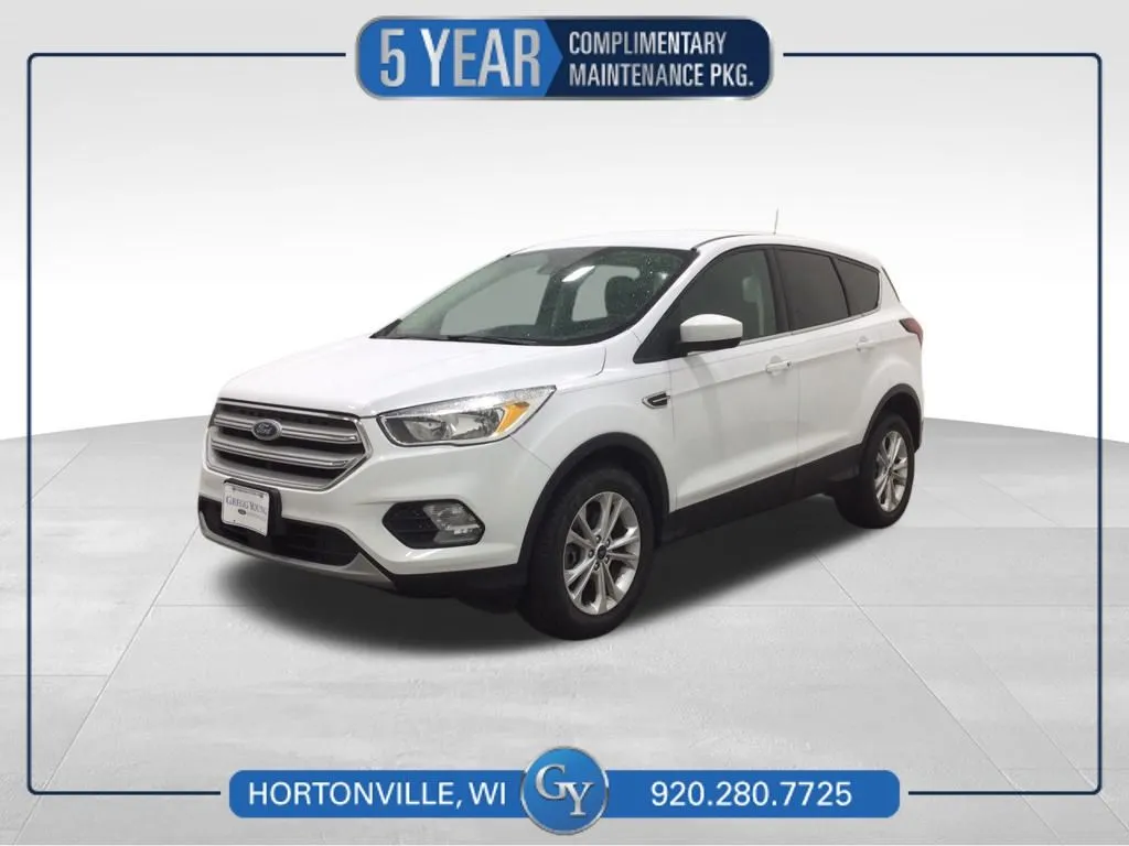 2019 Ford Escape SE for sale in Hortonville, WI