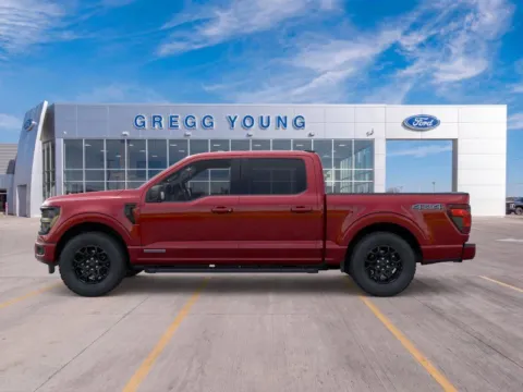More photos of 2025 Ford F-150 XLT at Gregg Young Hortonville Ford, WI