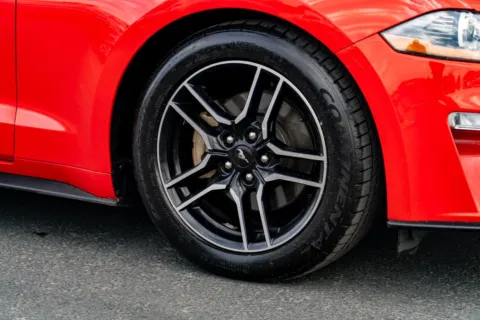 More photos of 2019 Ford Mustang EcoBoost Premium at Maxx Autos Plus Puyallup, WA