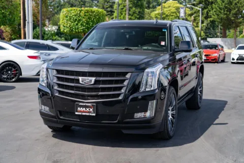 More photos of 2019 Cadillac Escalade Premium Luxury at Maxx Autos Plus Puyallup, WA