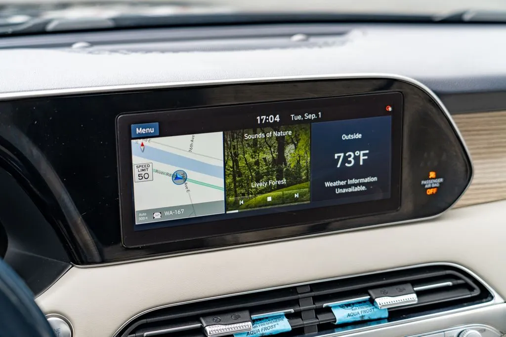 Hyundai Palisade photo 19