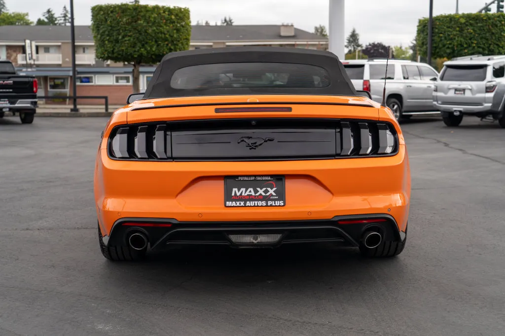 Ford Mustang photo 9
