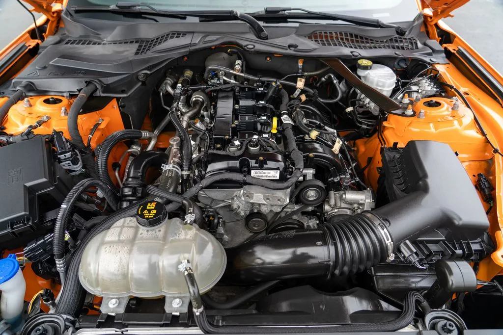 Ford Mustang photo 19