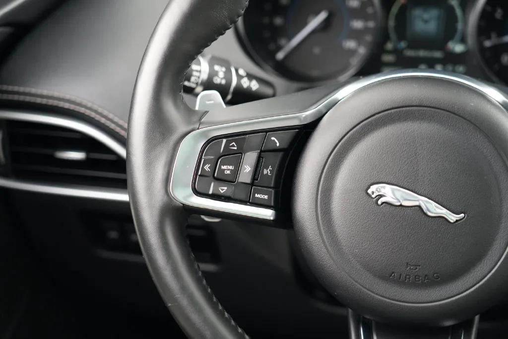 Jaguar F-PACE photo 19