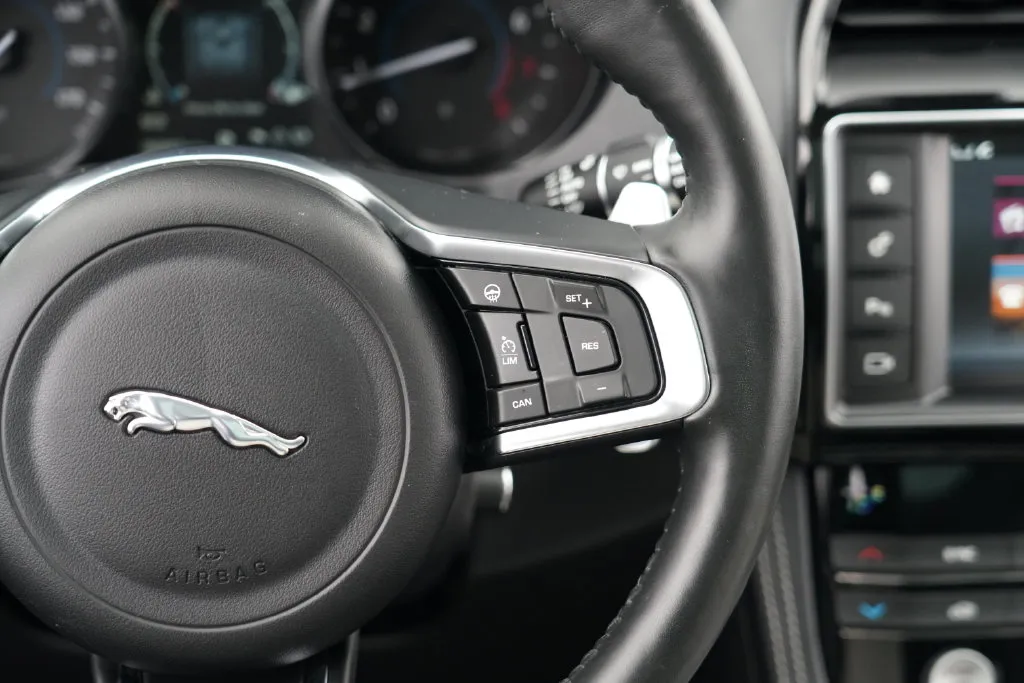 Jaguar F-PACE photo 18