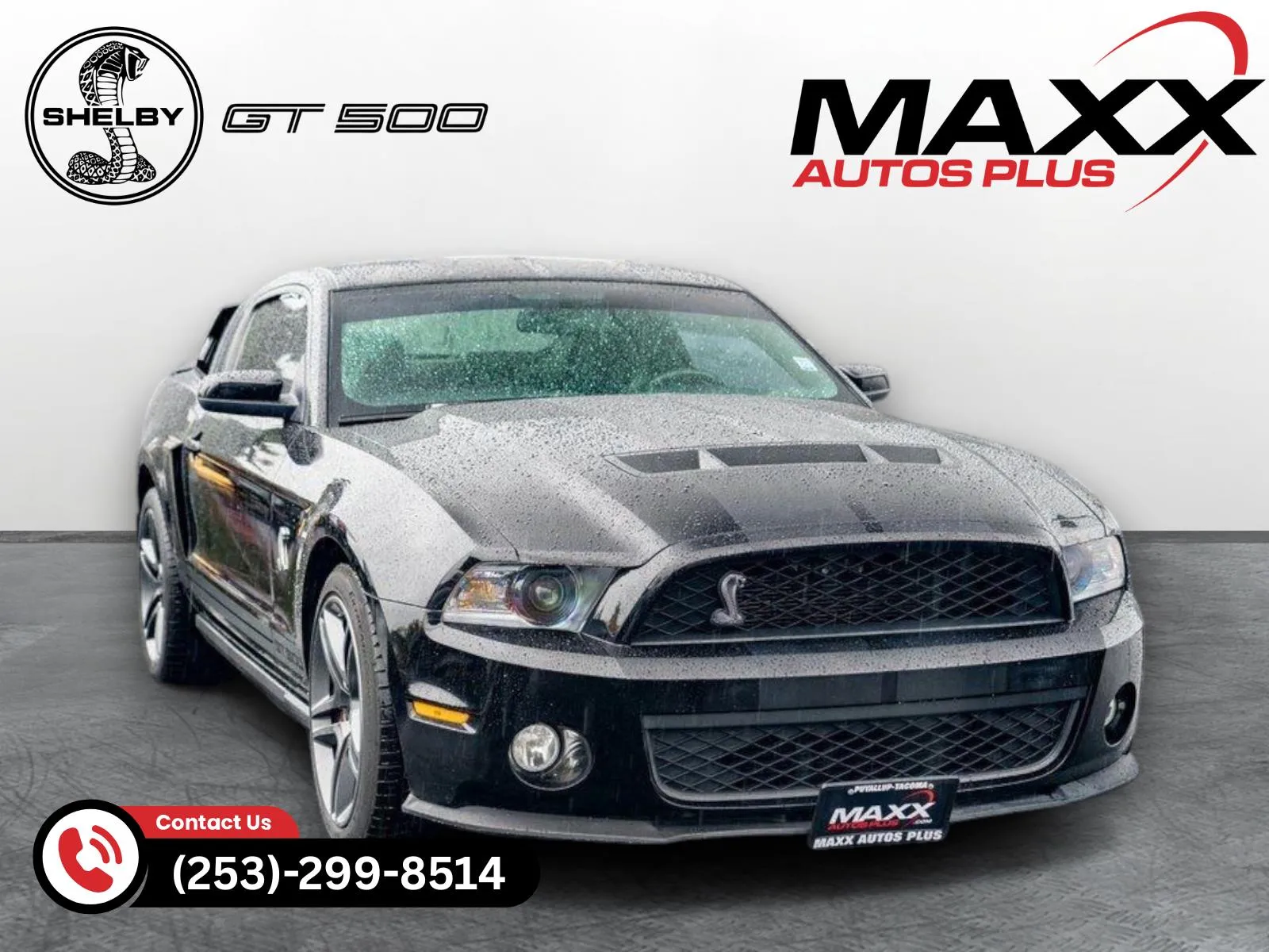 2010 Ford Mustang GT500 for sale in Puyallup, WA