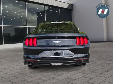 More photos of 2019 Ford Mustang EcoBoost at Northway Automotive of Lake Hopatcong NJ, NJ