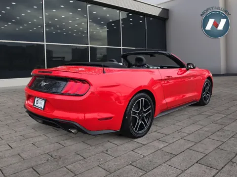 More photos of 2021 Ford Mustang EcoBoost Premium at Northway Automotive of Newton NJ, NJ