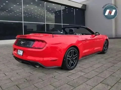 More photos of 2021 Ford Mustang EcoBoost Premium at Northway Automotive of Newton NJ, NJ
