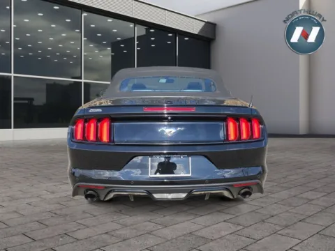 More photos of 2015 Ford Mustang EcoBoost Premium at Northway Automotive of Newton NJ, NJ