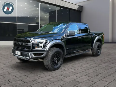 Black 2017 Ford F-150 Raptor for sale in Newton, NJ