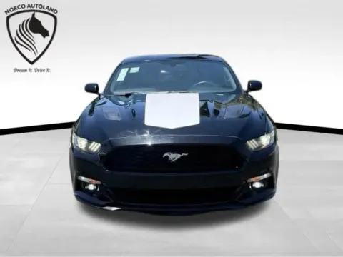 Photos of 2015 Ford Mustang GT Premium Coupe 2D for sale in Norco, CA at Norco Autoland