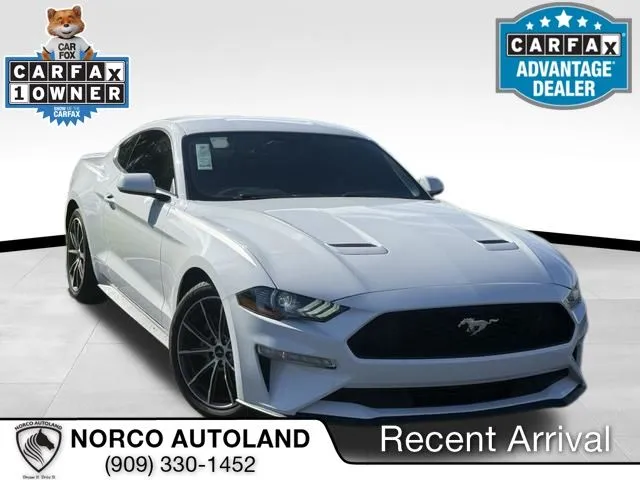 2019 Ford Mustang EcoBoost