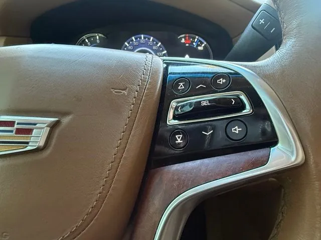 2016 Cadillac Escalade Platinum - Photo 29