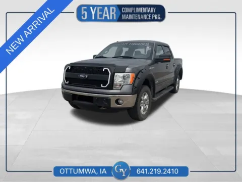 Gray 2013 Ford F-150 XLT for sale in Ottumwa, IA