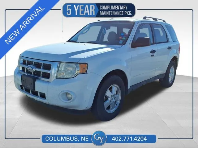 2011 Ford Escape XLT for sale in Columbus, NE