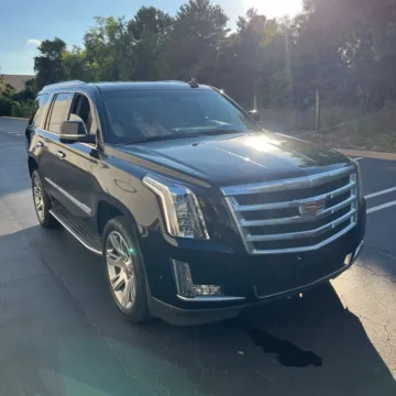 Black 2019 Cadillac Escalade Luxury for sale in Indianapolis, IN