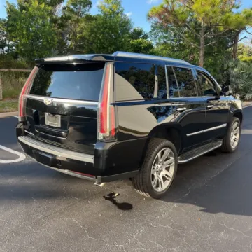 More photos of 2019 Cadillac Escalade Luxury at Indy Auto Man, IN