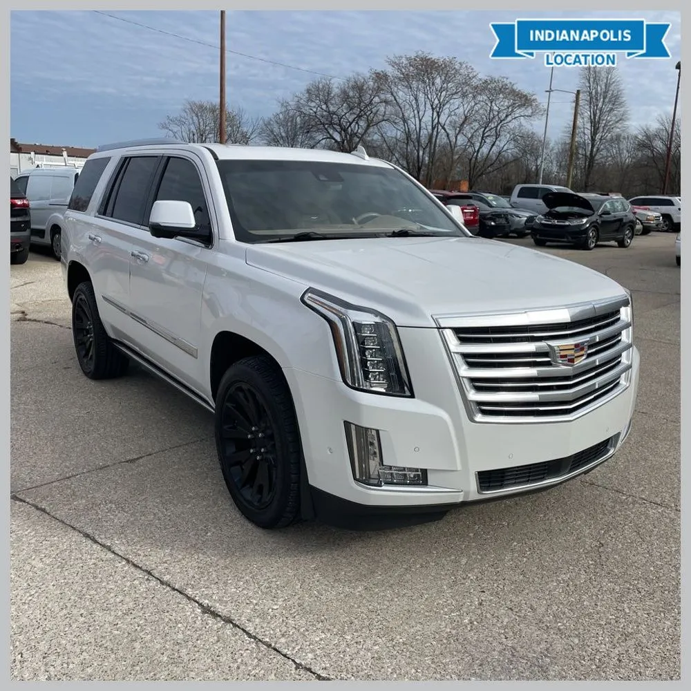 White 2019 Cadillac Escalade Platinum Edition for sale in Indianapolis, IN