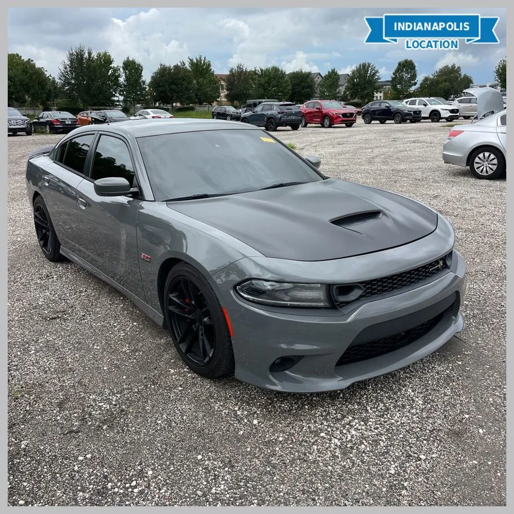 Gray 2019 Dodge Charger R/T Scat Pack for sale in Indianapolis, IN