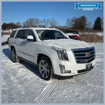 White 2019 Cadillac Escalade Premium Luxury for sale in Indianapolis, IN