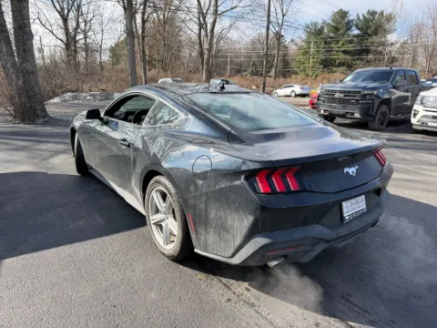More photos of 2026 Ford Mustang EcoBoost at Indy Auto Man - Indianapolis, IN