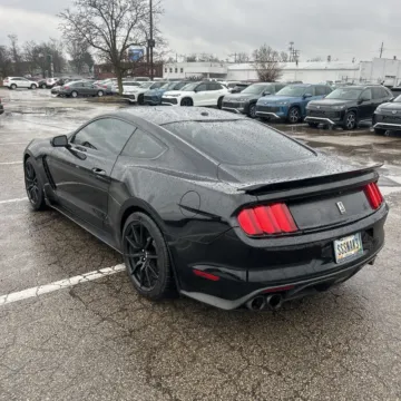 More photos of 2017 Ford Mustang Shelby GT350 at Indy Auto Man - Indianapolis, IN