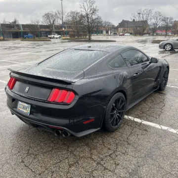 More photos of 2017 Ford Mustang Shelby GT350 at Indy Auto Man - Indianapolis, IN