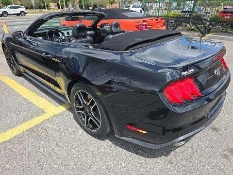 More photos of 2019 Ford Mustang EcoBoost Premium at Indy Auto Man - Indianapolis, IN