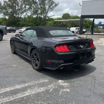 More photos of 2022 Ford Mustang EcoBoost Premium at Indy Auto Man - Indianapolis, IN