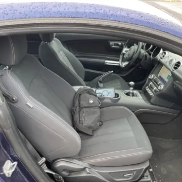 More photos of 2019 Ford Mustang GT at Indy Auto Man - Indianapolis, IN