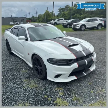 White 2019 Dodge Charger R/T Scat Pack for sale in Indianapolis, IN