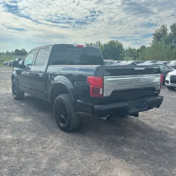 More photos of 2020 Ford F-150 Limited at Indy Auto Man - Indianapolis, IN