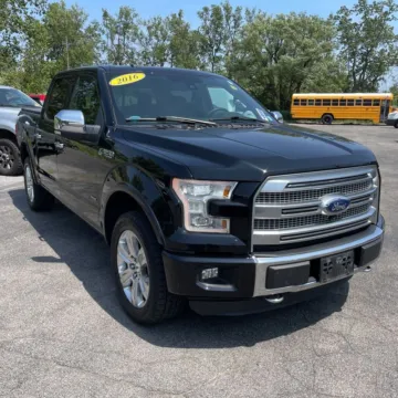 Black 2016 Ford F-150 Platinum for sale in Indianapolis, IN