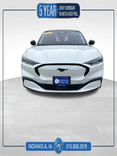 2021 Ford Mustang Mach-E Premium AWD's photo