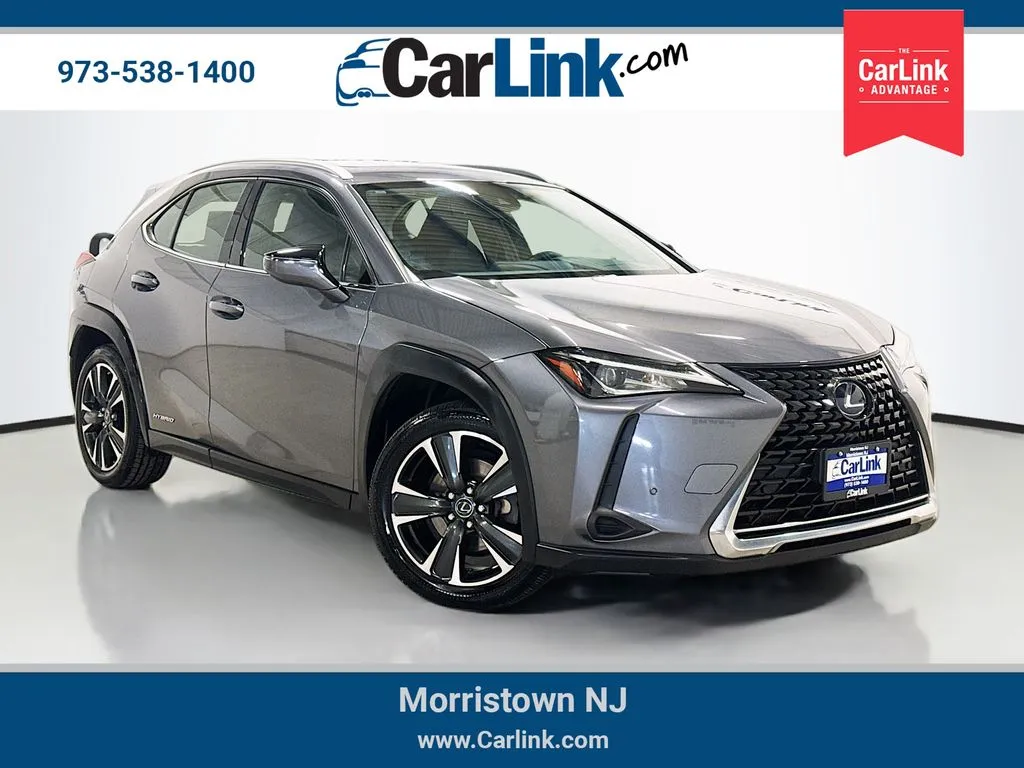 2019 Lexus UX Hybrid 250h