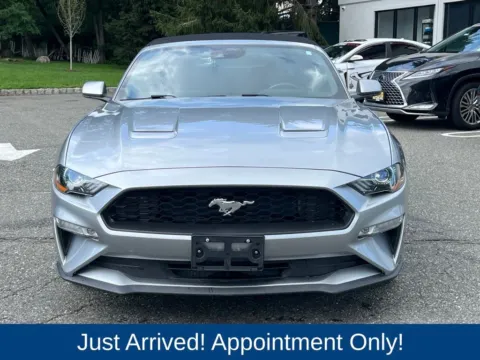 Photos of 2021 Ford Mustang EcoBoost Premium for sale in Morristown, NJ at CarLink Morristown