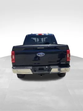 More photos of 2023 Ford F-150 XLT at Gregg Young Newton, IA