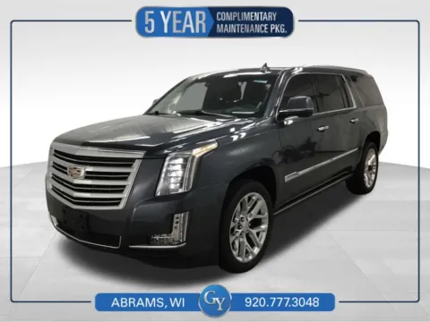Gray 2019 Cadillac Escalade ESV Platinum Edition for sale in Abrams, WI