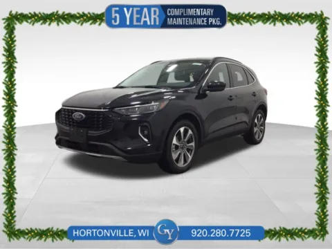 Black 2023 Ford Escape Platinum for sale in Hortonville, WI