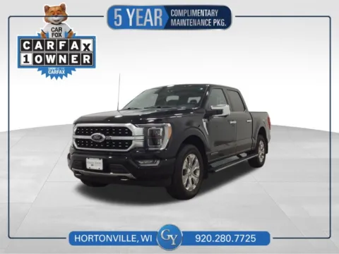 Black 2023 Ford F-150 Platinum for sale in Hortonville, WI
