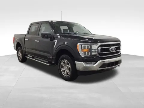 More photos of 2023 Ford F-150 XLT at Gregg Young Hortonville Ford, WI