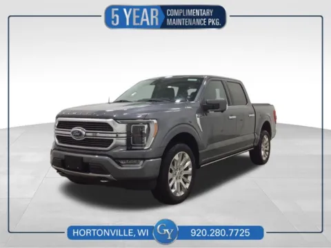 Gray 2022 Ford F-150 Limited for sale in Hortonville, WI