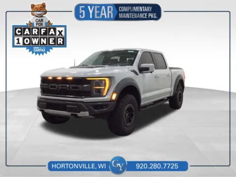 Gray 2023 Ford F-150 Raptor for sale in Hortonville, WI