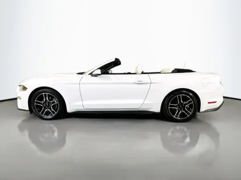 More photos of 2022 Ford Mustang EcoBoost Premium at CarLink Fort Myers, FL