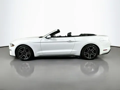 More photos of 2021 Ford Mustang EcoBoost Premium at CarLink Fort Myers, FL
