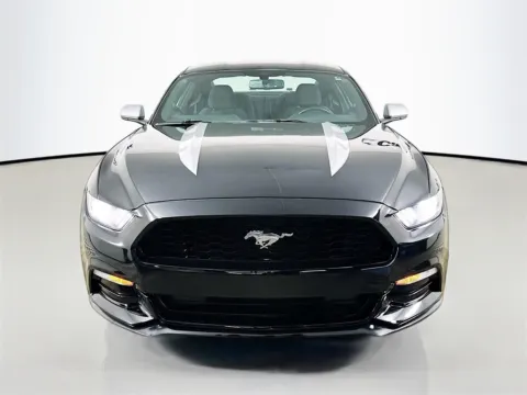Photos of 2017 Ford Mustang V6 for sale in Fort Myers, FL at CarLink Fort Myers