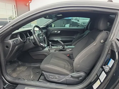 More photos of 2019 Ford Mustang GT at MAG Auto - Munsterman Automotive Group, MO