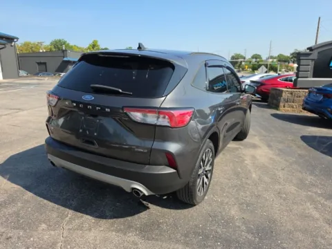 More photos of 2020 Ford Escape SE Sport Hybrid at MAG Auto - Munsterman Automotive Group, MO
