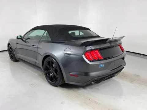 More photos of 2019 Ford Mustang EcoBoost Premium at MAG Auto - Munsterman Automotive Group, MO